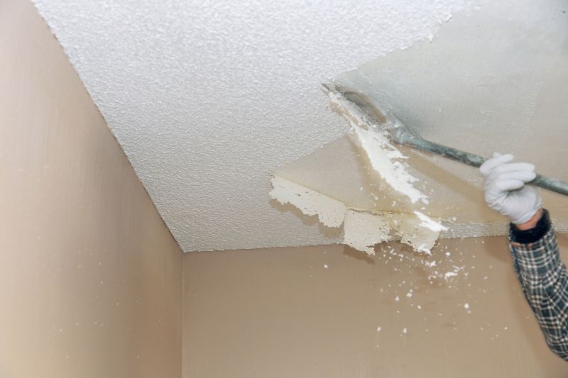 Ceiling Texture Removal detail